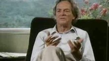 Feynman Physics Lectures: Feynman as an Artist
