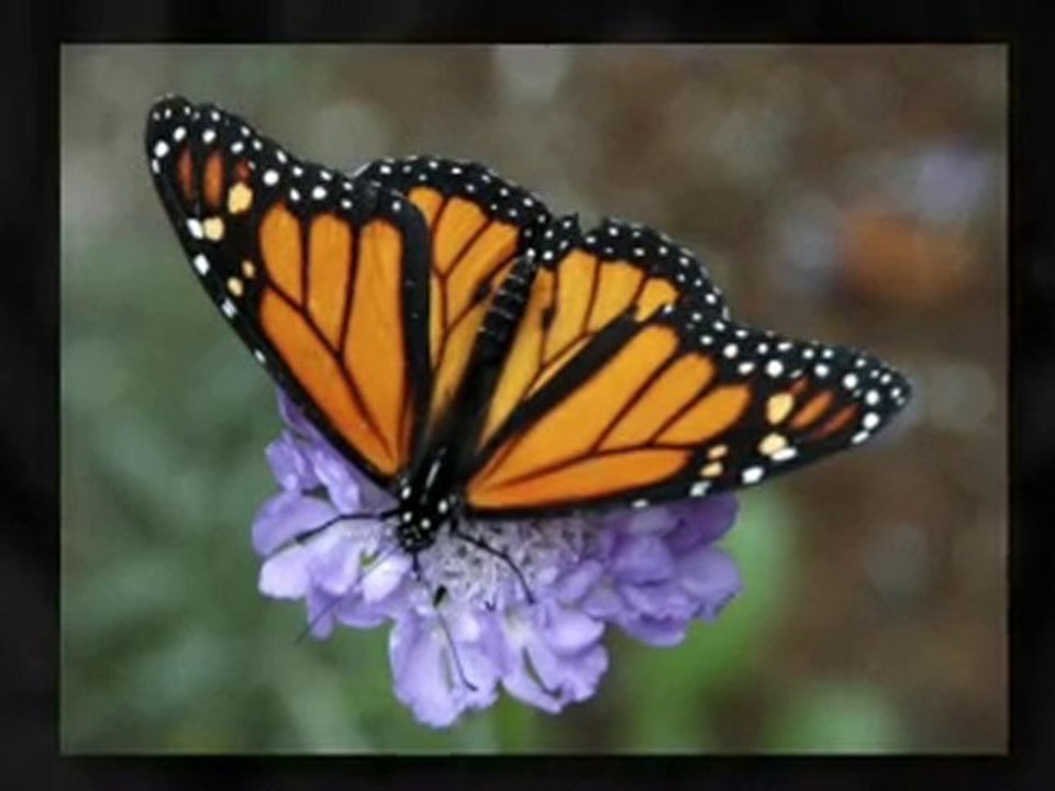 my first vid