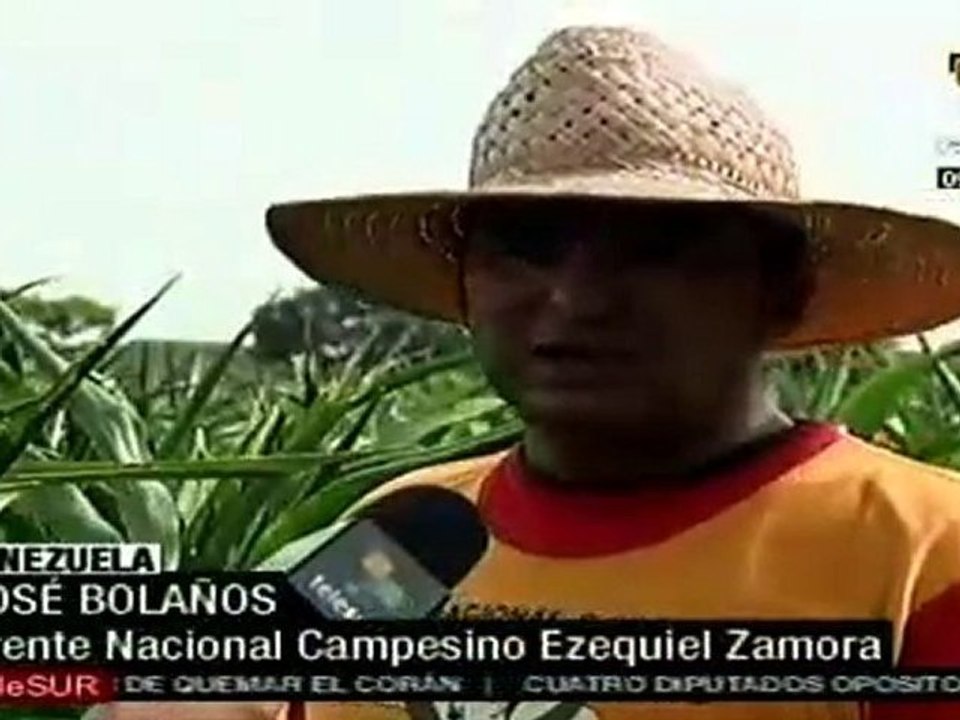 Campesinos venezolanos denuncian asesinatos por latifundista