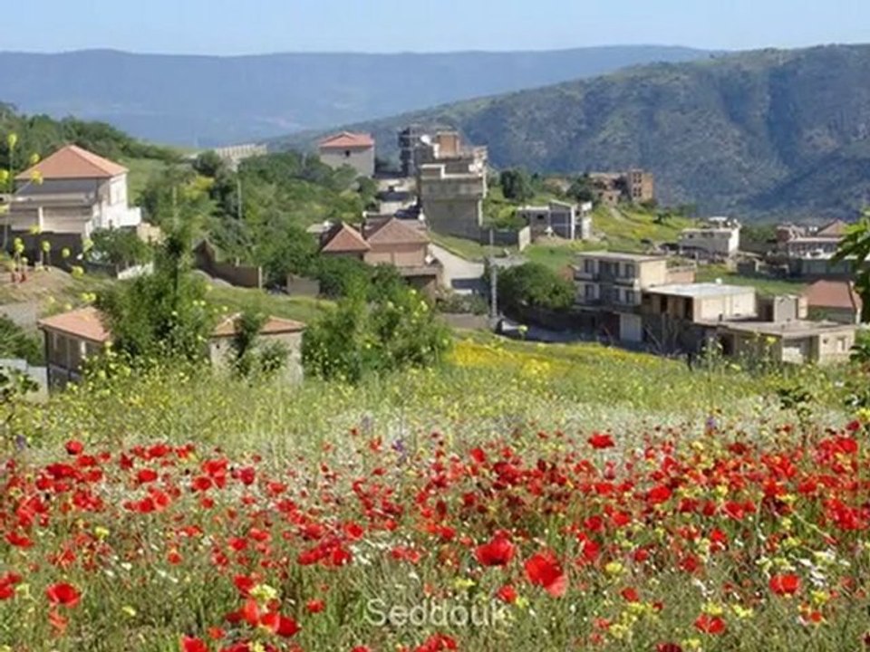 Wilaya de BEJAIA : 52 Communes