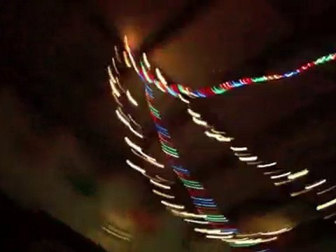 Les étoiles filantes (Zuani 2010)