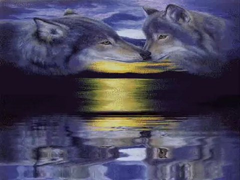 Atilla Yılmaz - Bozkurtlar