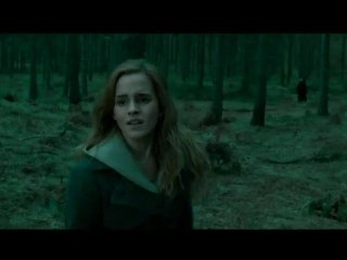 Harry Potter et les Reliques de la Mort - Tv Spot 1 [VO|HD]