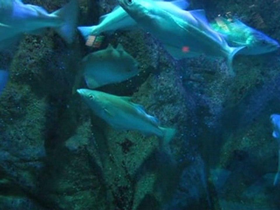 Chantier du musée de la mer