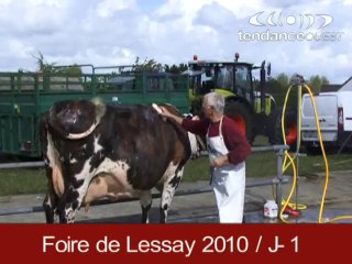 Foire de Lessay 2010