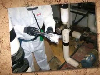 Grants for Asbestos Removal Hawaii