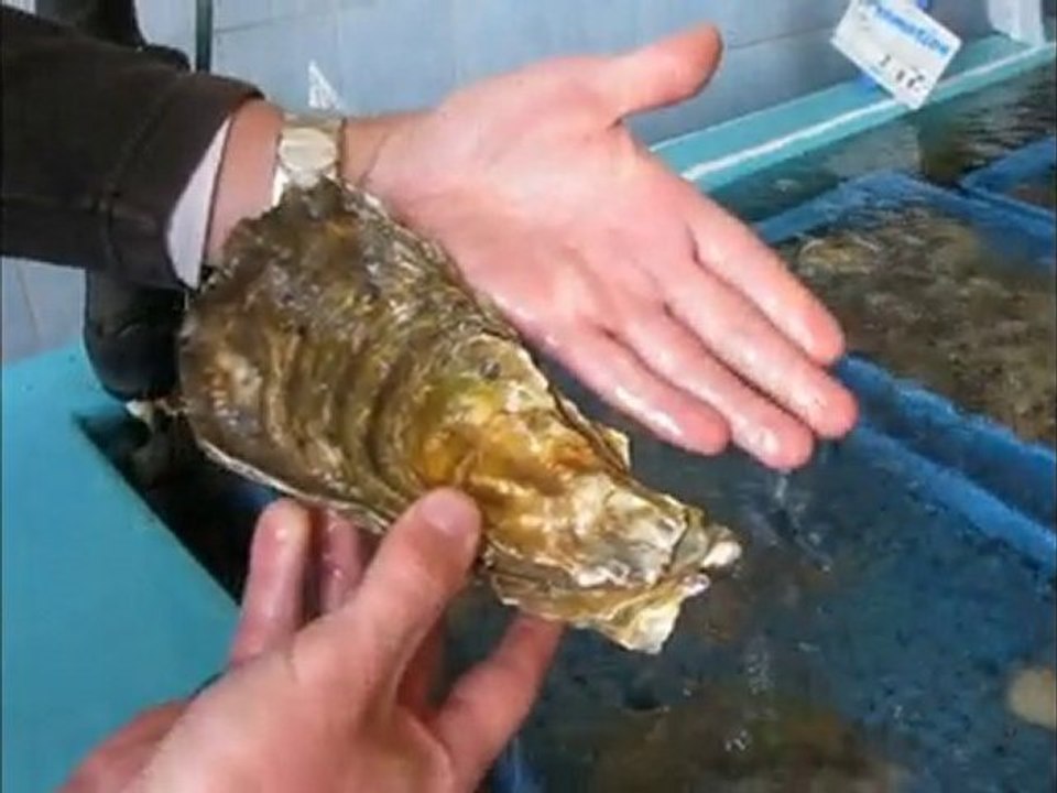 2011 CAP2 septembre pratique et marais salants