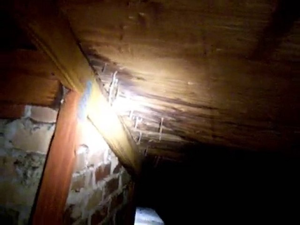 Chimney Flashing Leak Found At Jacksonville Home Inspection