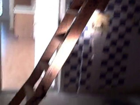 Jacksonville Home Inspector Finds Attic Steps That Can Kill