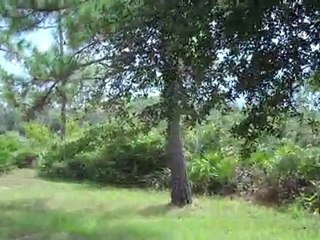 Koreshan State Park in Estero Florida