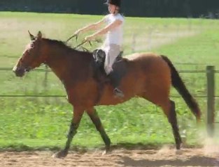 Técquila des Arcades