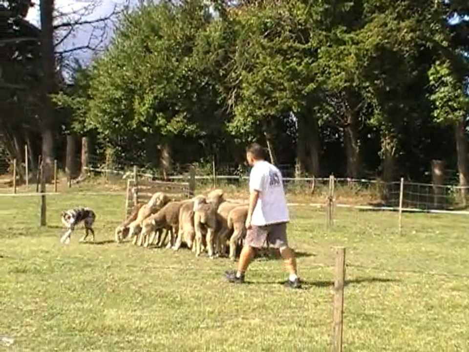 eclypss abaust 09.09.10