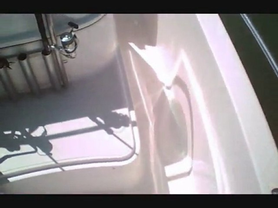 peche d'un congre en casting