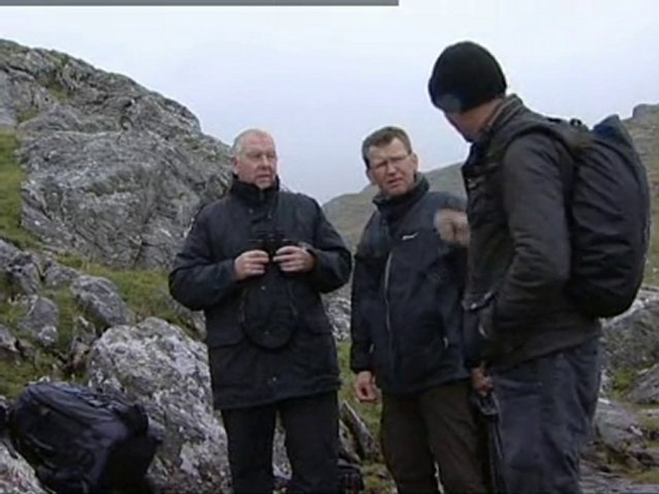 Time is running out for trapped whale