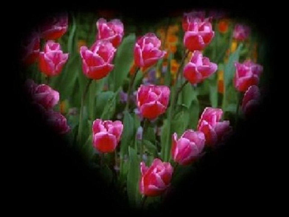 Tülay Özer & Kıraç Kolay vazgeçmeyi öğrendim artık