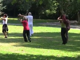 Ecole de tai ji quan côte basque, stage été 2010 Maité Pébay