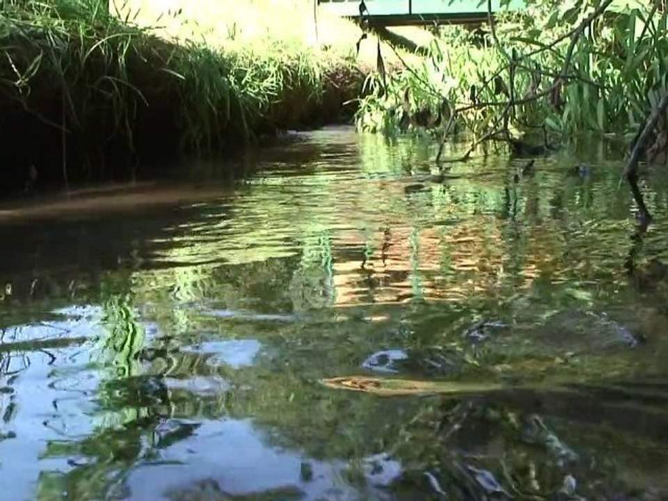 2010 Marange Silvange Les Réalisations