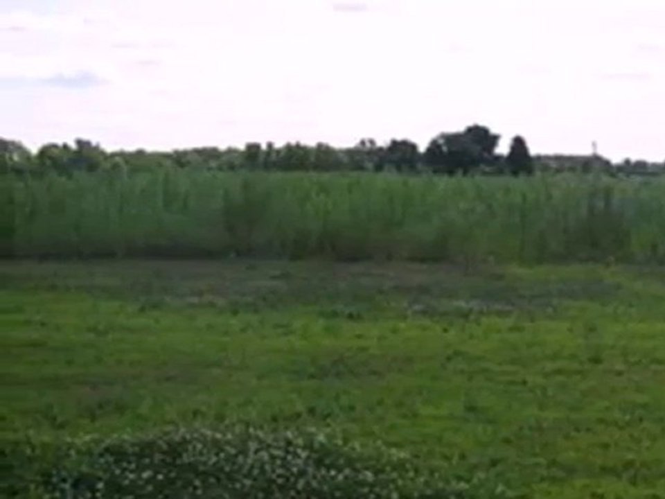 Homes for Sale - 0 Grove St - Wheatfield, IN 46392 - Coldwel