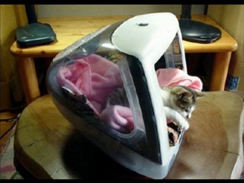 chat geek