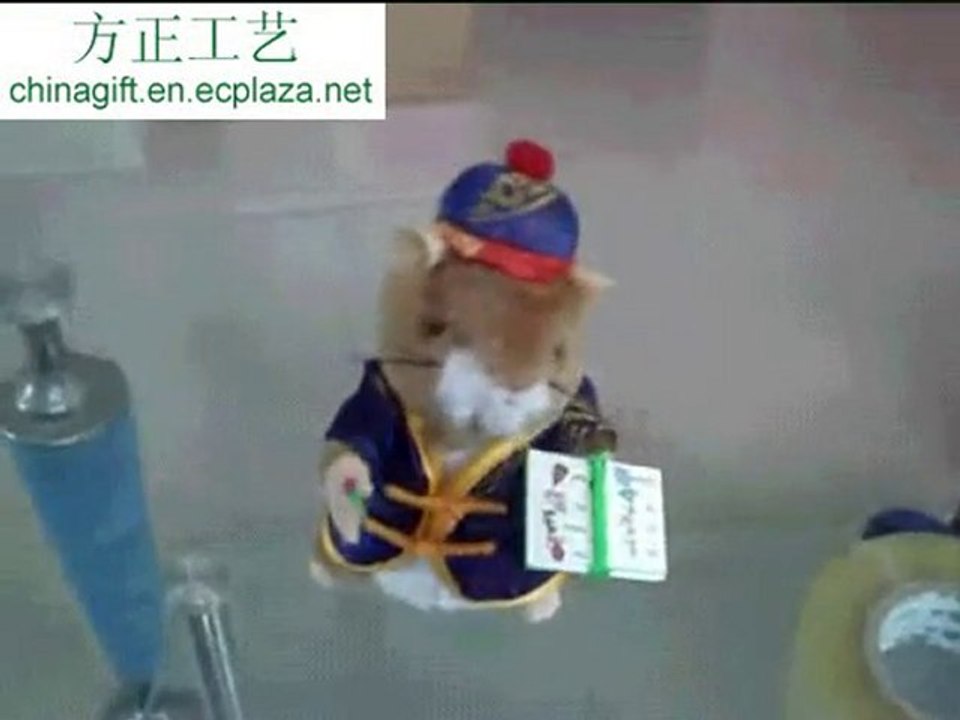Book reader hamster