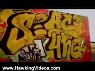 Stephen Hawking Videos: The Hawking Paradox (Part 2/5)