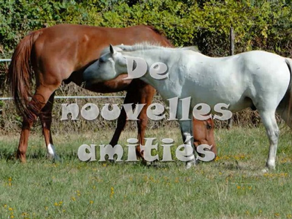 arrivee_angers_0001