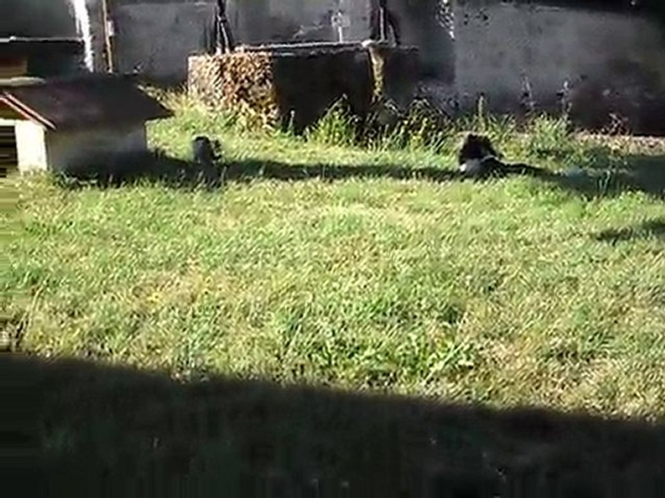 SDC13849