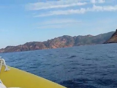 Sarkoscud golfe de Porto (Corse) vers la Réserve de Scandola