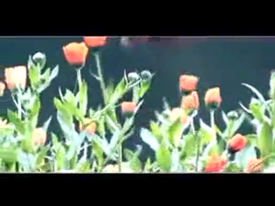 Adem kodalak - sensizlik öyle zor ki