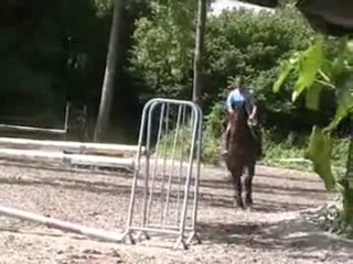 Séance d'entrainement pour Romane de Kervel (juillet 2010)