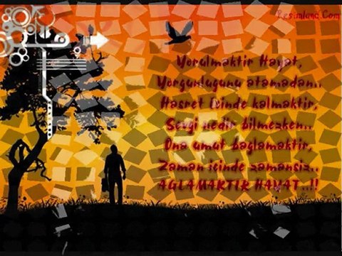 ömrüm senin gönlüm senin