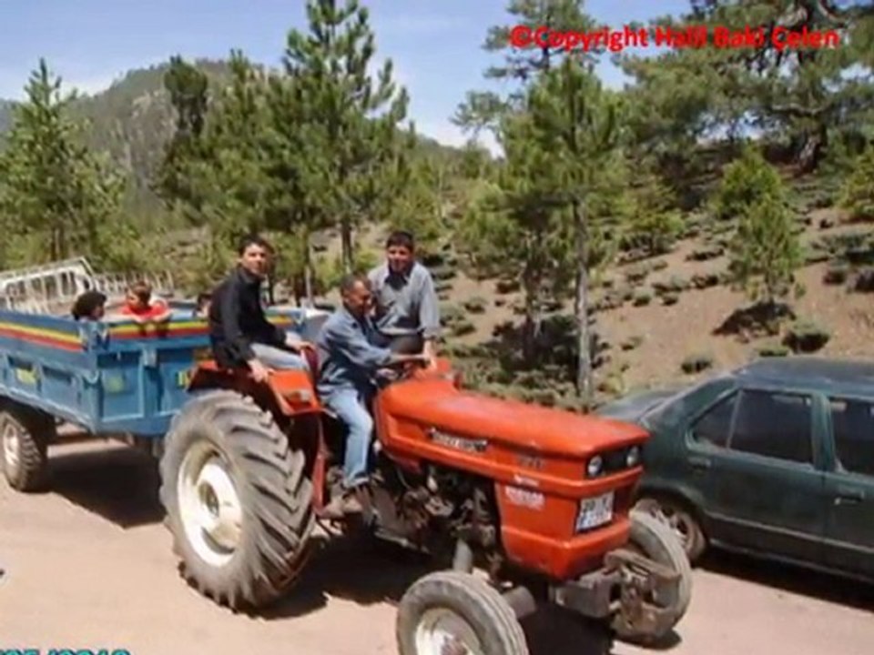 EN GÜZEL FOTOĞRAFLAR-KELEKÇİ GÜNEY