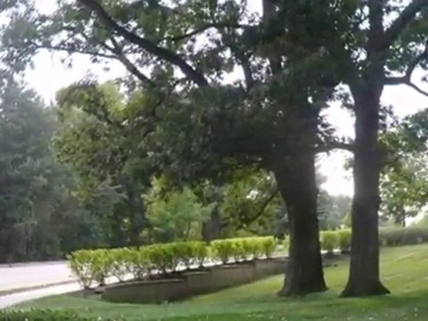 Homes for Sale - 24863 W Sterling Oaks Ct - Shorewood, IL 60