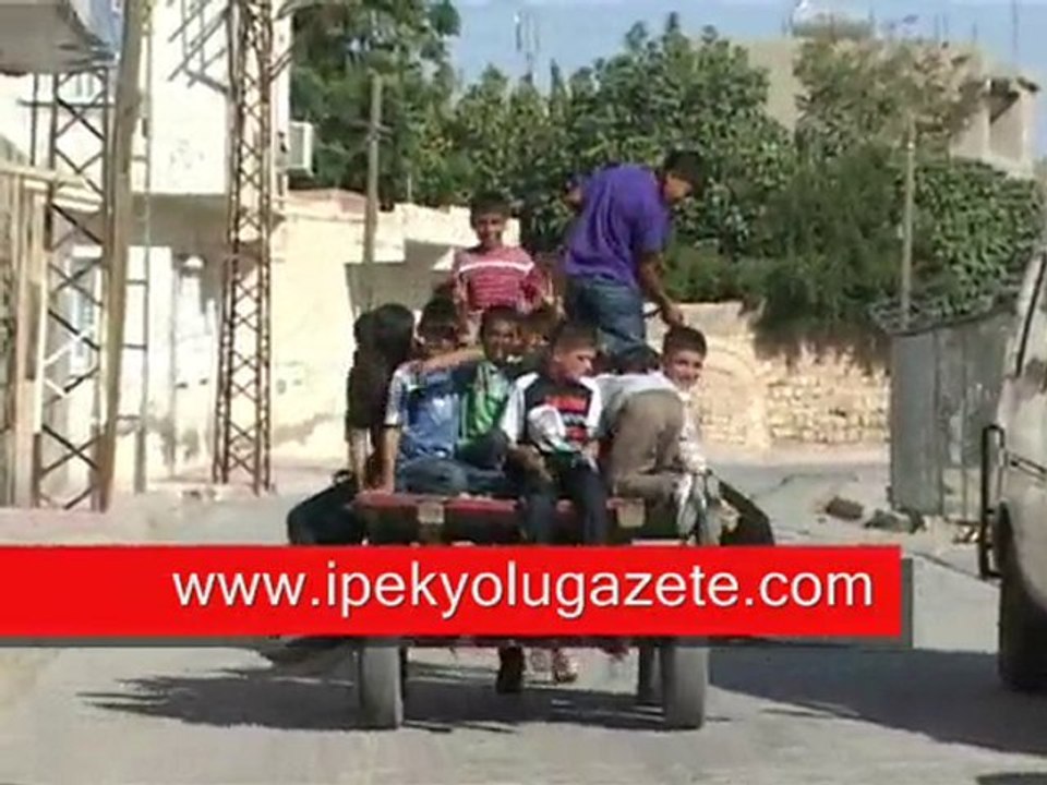 Bayramda At Arabaları Nusaybin Haber