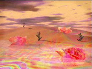 Лекции за исляма - Тефсир на сура Худжурат (6-13) - част 4