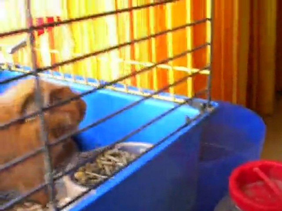 zoé rencontre une nouvelle copine : ZARA