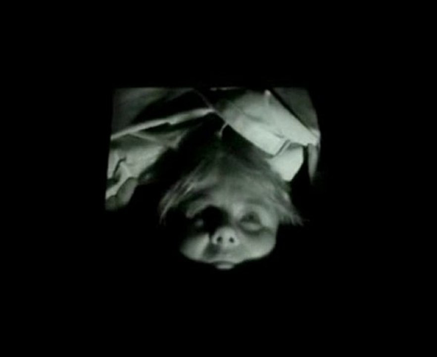 Trapcam - viral video