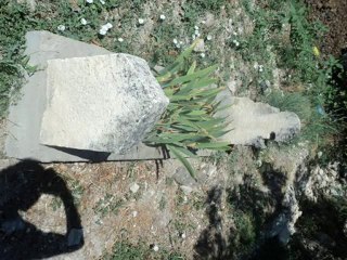 ERMENEK-Gökçekent Köyü Kabir Sakinleri (Temmuz 2010)