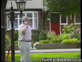 Beadles About Dog Toilet