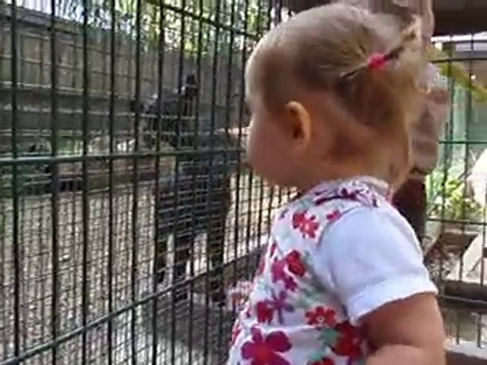 11 sept zoo