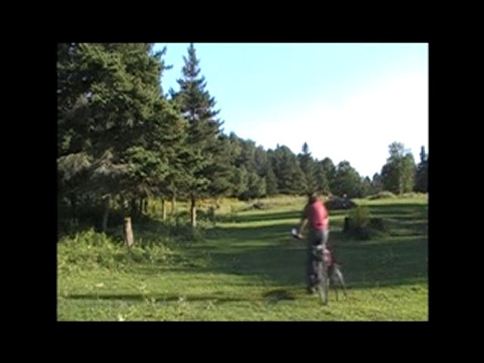 Biking with the dogs