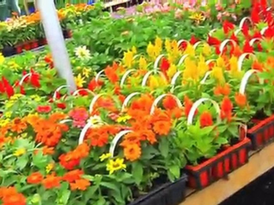 Centre de Jardin Brossard - Jardin Botanique