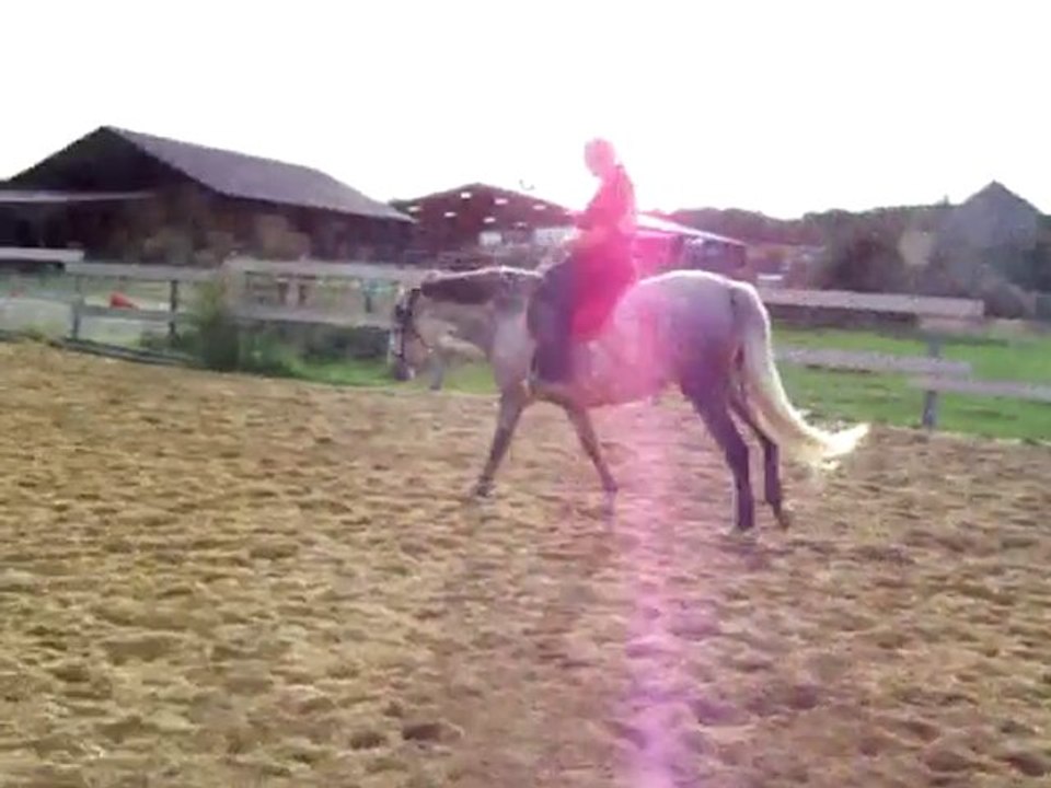 Pakita galop monté 11 septembre 2010