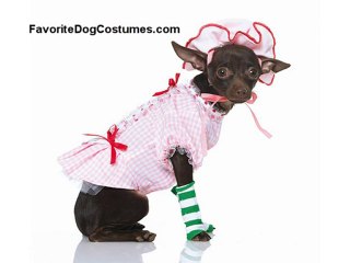 Fun Halloween Costumes for Dogs