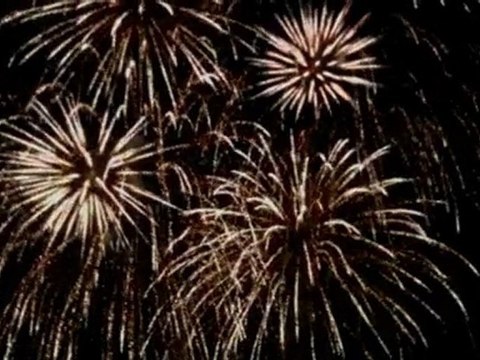 Feu d'artifices à Orléans pour la Caravane de Loire