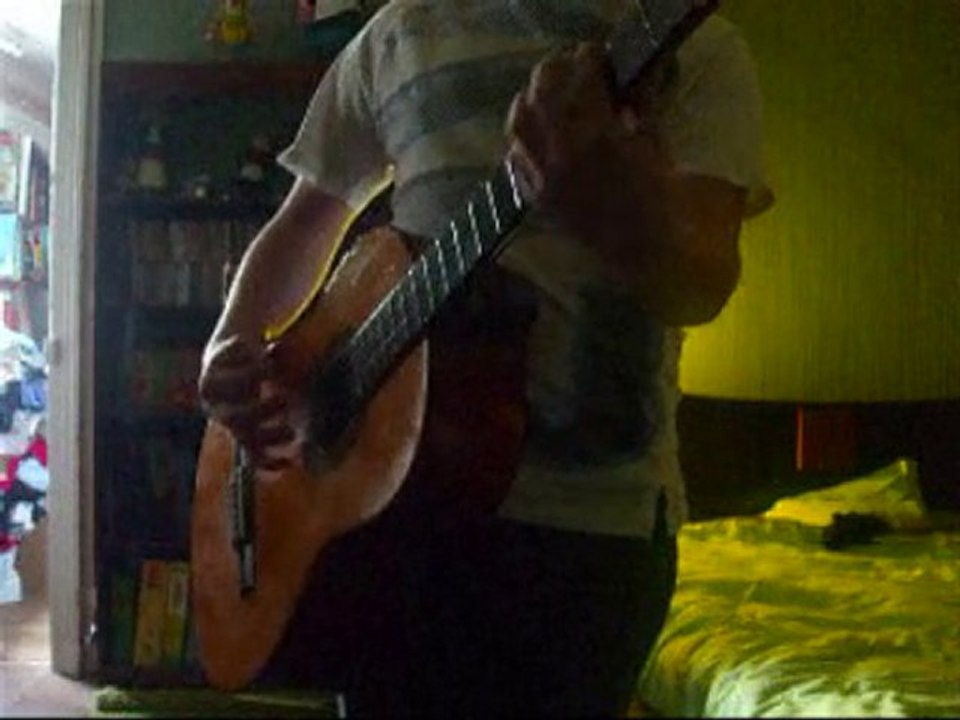 [Cover-Guitare] Los - Rammstein Live ☺