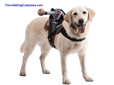 Fun Large Dog Halloween Costumes