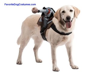 Fun Large Dog Halloween Costumes