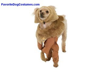 Wizard of Oz Halloween Pet Costumes
