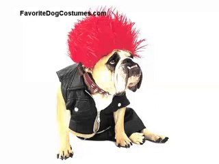 Rapper, Punk Rocker and French Maid Costumes for Dogs